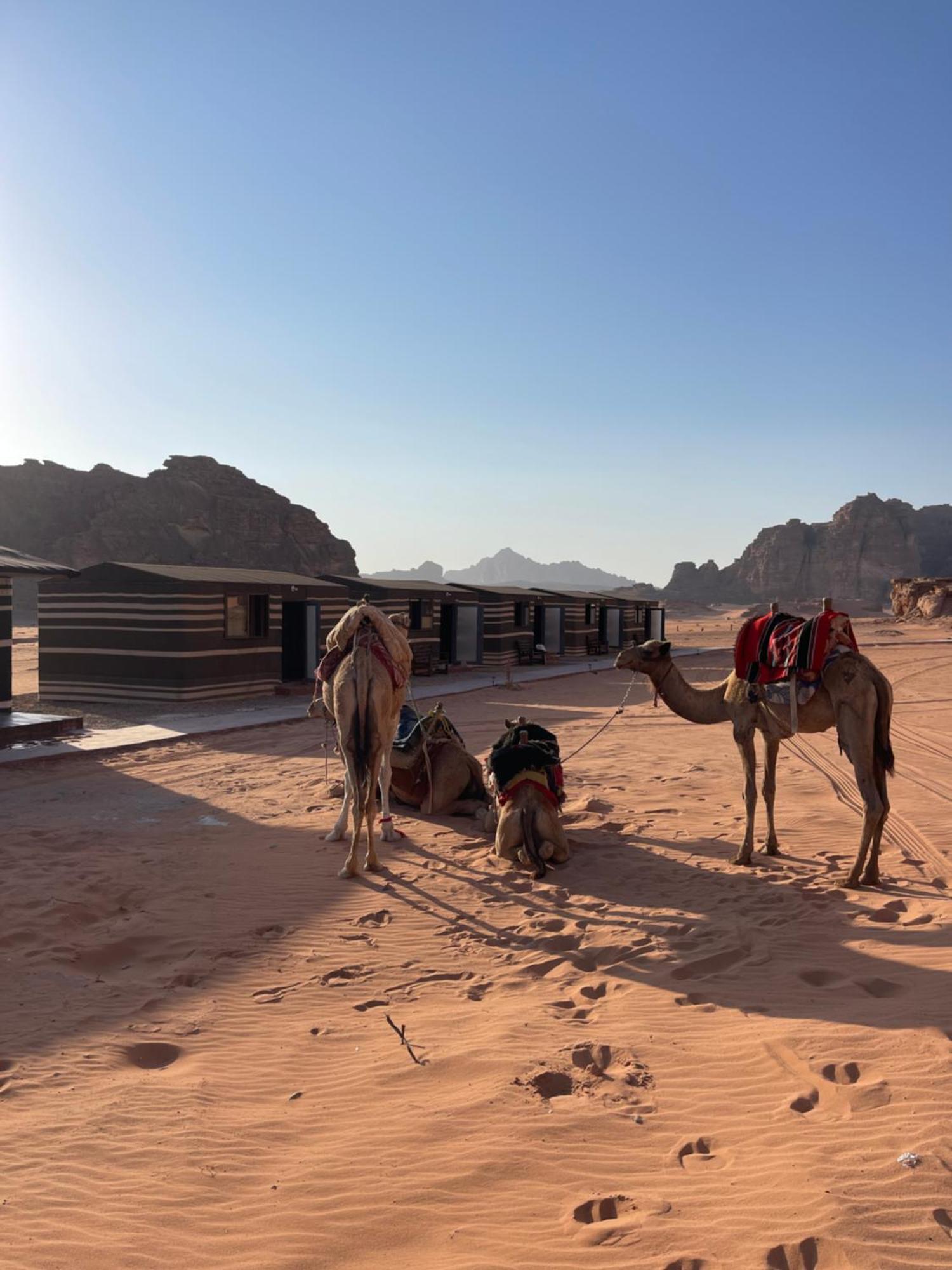 Wadi Rum Magic Camp Exterior photo